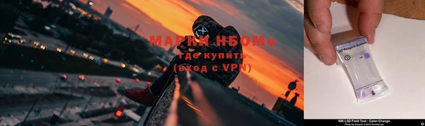 гидропоника Алзамай