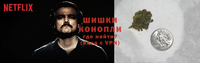гидропоника Алзамай