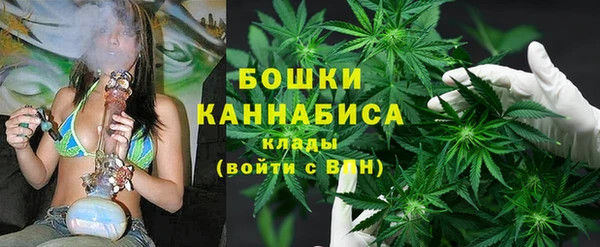 гидропоника Алзамай